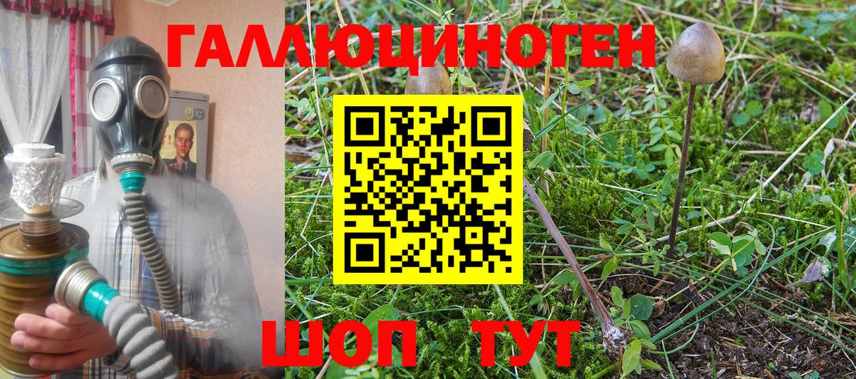 Псилоцибиновые грибы мицелий Бугульма
