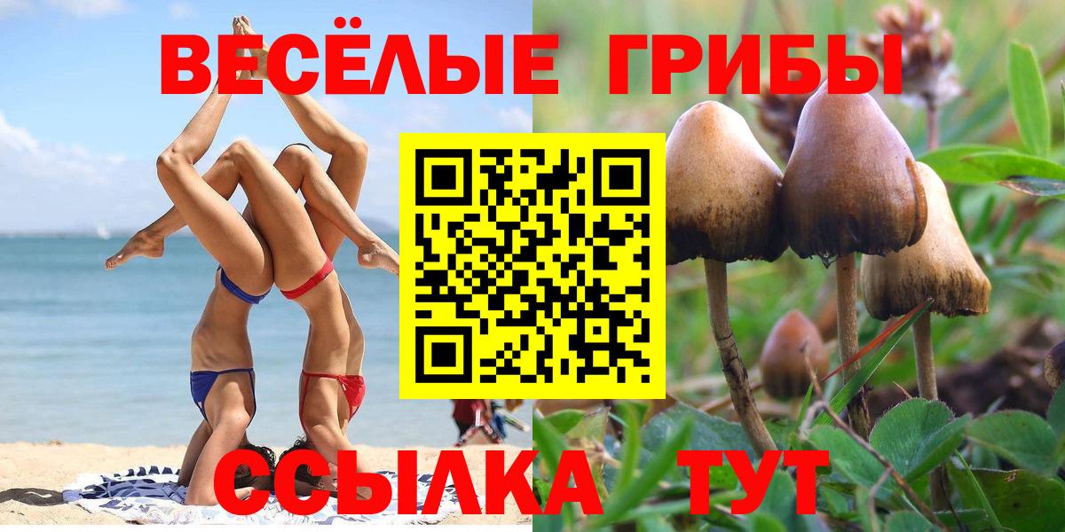 Бугульма  Псилоцибиновые грибы Psilocybine cubensis  Псилоцибиновые грибы прущие грибы  Вход с VPN 